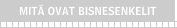 Mit ovat bisnesenkelit